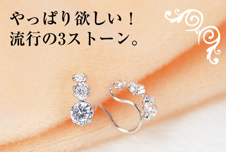 �P�S���v�f�R�X�g�[���C���[�N���b�v